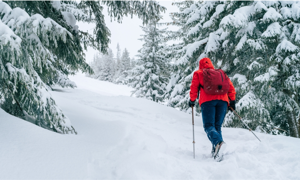 Tout savoir sur les vestes chauffantes: fonctionnement, usage et sécurité